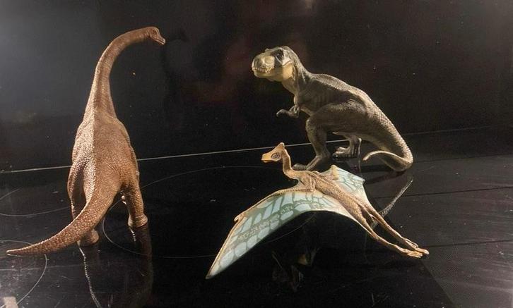 Schleich/Papo Dinosauriers (T-Rex,Brachio), Verzamelen, Poppetjes en Figuurtjes, Zo goed als nieuw, Ophalen of Verzenden