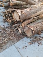 Beuken en eiken stammen ophalen, Tuin en Terras, Haardhout, 3 tot 6 m³, Ophalen, Eikenhout, Stammen
