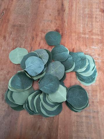 Eucalyptus Blaadjes - Decoratie Bruiloft/Feest beschikbaar voor biedingen