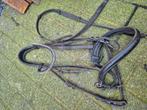 Hoofdstel maat full, Dieren en Toebehoren, Ophalen of Verzenden, Gebruikt, Dressuur