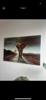 Glazen Schilderij - Olifant - 120x80cm, Ophalen of Verzenden, Zo goed als nieuw