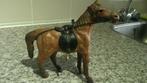 Antiek Handgemaakt Lederen Paard, Antiek en Kunst, Ophalen of Verzenden