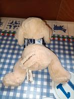 Hulphond Flip knuffel hulp hond Les hond 25 cm groot, Kinderen en Baby's, Speelgoed | Knuffels en Pluche, Ophalen of Verzenden