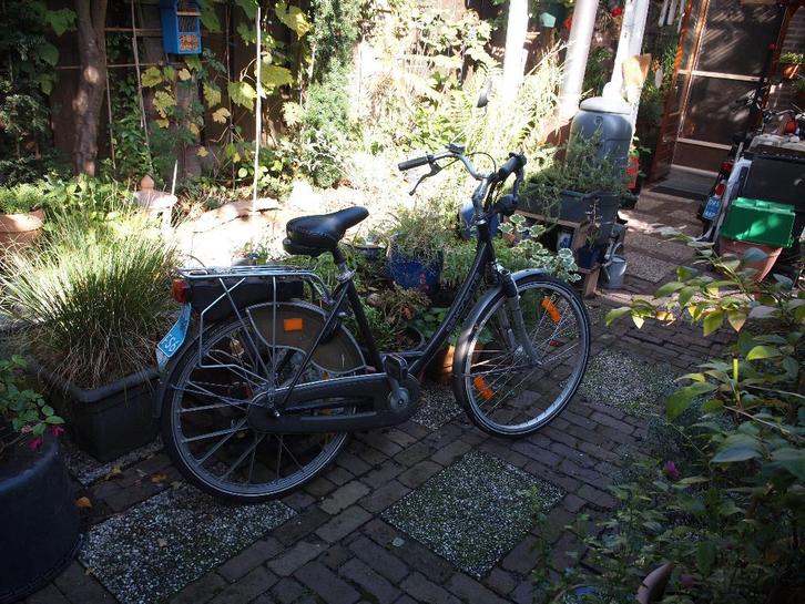 Te koop snorfietsen met kentekens, Fietsen en Brommers, Snorfietsen en Snorscooters, Gebruikt, Spartamet, Benzine, Ophalen