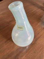 Vaas, Huis en Inrichting, Woonaccessoires | Vazen, Ophalen of Verzenden, Zo goed als nieuw, Glas, Minder dan 50 cm