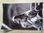Billie eilish poster, Ophalen of Verzenden