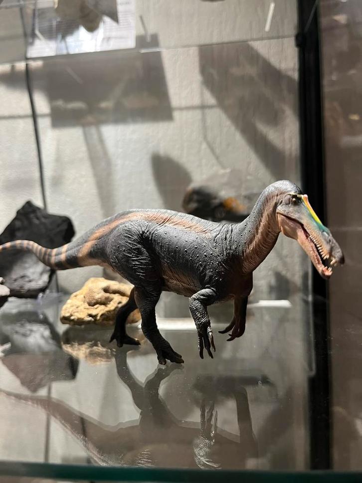 PNSO Suchomimus 1:35 model, Verzamelen, Poppetjes en Figuurtjes, Zo goed als nieuw, Ophalen of Verzenden