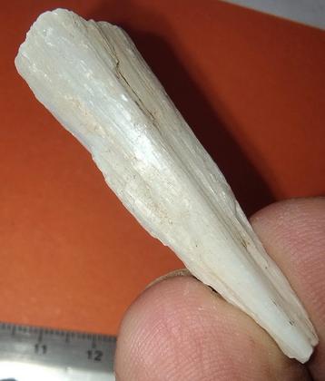 Microsteen Scoleciet Namibia  beschikbaar voor biedingen