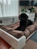Unieke handgemaakte houten ligbed/mand voor hond of kat, Overige, Info@rwhoutidee.nl, Nieuw, Ophalen of Verzenden