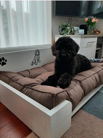 Unieke handgemaakte houten ligbed/mand voor hond of kat  beschikbaar voor biedingen