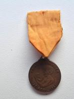 Penning geboorte Prins Willem Alexander 1967, Postzegels en Munten, Penningen en Medailles, Ophalen of Verzenden, Overige materialen