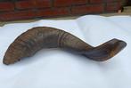 Unieke Schapenhoorn - Shofar - 26cm, Ophalen of Verzenden