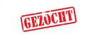 (pension) stalling omgeving Bergen op Zoom, Dieren en Toebehoren, Weidegang, 1 paard of pony