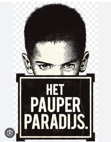 12 juli 15.00 2 of 4 kaartjes het pauperparadi AFAS Leusden  beschikbaar voor biedingen