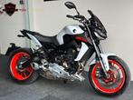 YAMAHA MT-09 ICE FLUO 2019 14.215 KM MT09 MT 09 07 10, Motoren, Motorrijbewijs A, Bedrijf, 3 cilinders, Meer dan 35 kW
