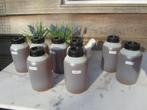 lijnolie, Doe-het-zelf en Verbouw, Verf, Beits en Lak, Minder dan 5 liter, Ophalen of Verzenden, Zo goed als nieuw, Verf