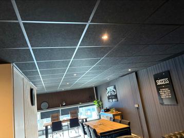 SYSTEEM PLAFOND MONTEUR  SYSTEEMPLAFONDS beschikbaar voor biedingen
