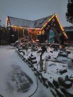 golden retriever achtige hond, 15 weken tot 1 jaar, Geslacht onbekend, Meerdere, Nederland