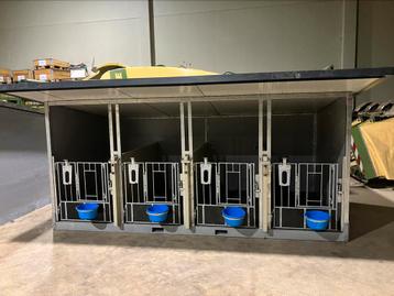 Multifunctionele kalverbox-groepsstal beschikbaar voor biedingen