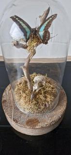 Stolp met vlinder en schedeltje, Ophalen of Verzenden, Gebruikt