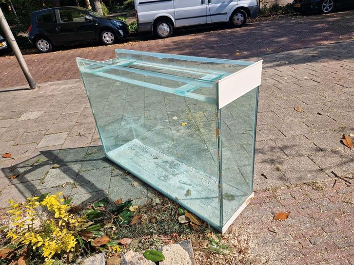 Aquarium / terrarium, Dieren en Toebehoren, Knaagdieren en Konijnen | Hokken en Kooien, Zo goed als nieuw, Hok, Minder dan 60 cm