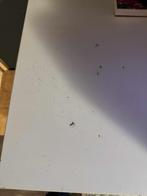 Ikea Hemnes Kast met Lades, Huis en Inrichting, Kasten | Dressoirs, Ophalen, Overige materialen, Gebruikt, 150 tot 200 cm