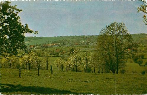 (381-040-033) Epen Panorama, Verzamelen, Ansichtkaarten | Nederland, Limburg, Verzenden
