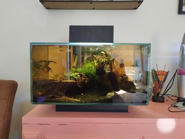 Disign aquarium Fluval edge 23l, Dieren en Toebehoren, Vissen | Aquaria en Toebehoren, Gebruikt, Gevuld zoetwateraquarium, Ophalen