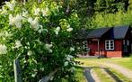 Genieten van de rust en schoonheid van de natuur in Zweden, Tuin, 2 slaapkamers, Overige typen, In bos