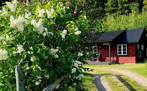 Genieten van de rust en schoonheid van de natuur in Zweden, Vakantie, Vakantiehuizen | Zweden, Overige typen, Landelijk, In bergen of heuvels