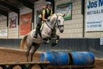 Hele lieve E pony, Dieren en Toebehoren, Pony's, Merrie, E pony (1.48m - 1.57m), Gechipt, 7 tot 10 jaar