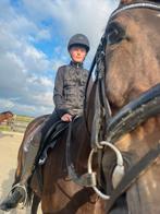 Verzorg/lease pony/paard gezocht, Dieren en Toebehoren, Ophalen, Zo goed als nieuw