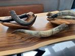 Antieke Decoratieve Hoorns Set - Woonaccessoires Rustiek Vin, Ophalen of Verzenden