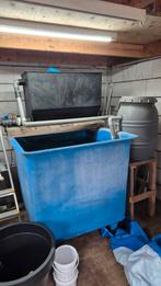 Koi opgroei bak 1000 liter, Tuin en Terras, Vijver-toebehoren, Ophalen