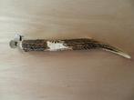 Vintage jacht sigarenknipper Solingen/ hertengewei hoorn, Ophalen of Verzenden, Gebruikt, Overige typen