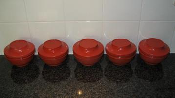 Tupperware schaaltjes/bakjes 5stuks izgs beschikbaar voor biedingen