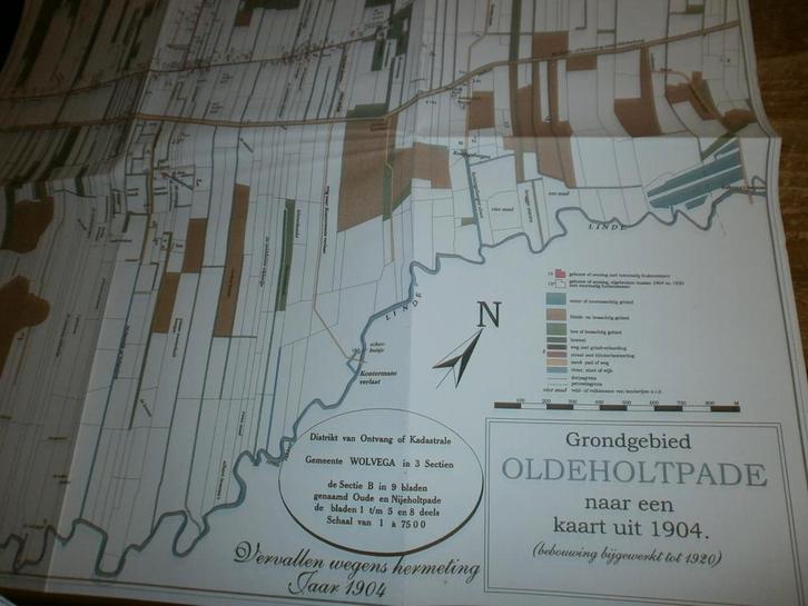 oldeholtpade tussen 1900 en 2000 alle huizen/bewoners fotos, Boeken, Geschiedenis | Stad en Regio, Nieuw, Ophalen of Verzenden