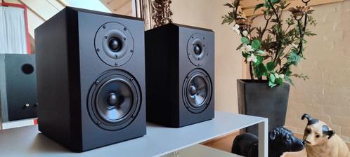 Master Surround Monitor - RAL Satin Black., Audio, Tv en Foto, Luidsprekers, Zo goed als nieuw, Front, Rear of Stereo speakers