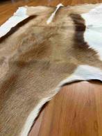 Geiten vacht huid 90/50, Gebruikt, Bruin, Etten-Leur, DJT@dejuistetoon.eu