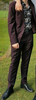 Bordeaux rood pak, Overige kleuren, Onbekend, Ophalen of Verzenden, Zo goed als nieuw