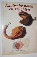 Exotische noten en vruchten   134062, Ophalen of Verzenden, Zo goed als nieuw, Kleien en Boetseren, Geschikt voor kinderen