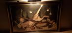 Schilderij Nino Parola met verlichting, Ophalen of Verzenden, Zo goed als nieuw