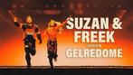 Suzan en Freek 2x staanplaatsen gelredome concert, Tickets en Kaartjes, Evenementen en Festivals, Twee personen
