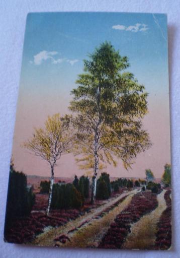 Heide Landschap - 1924 beschikbaar voor biedingen