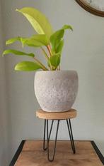 Klein plantentafeltje van hout en metaal, Ophalen of Verzenden, Zo goed als nieuw