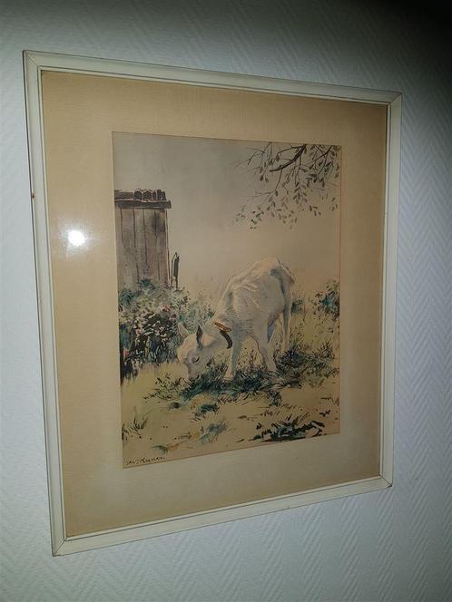 Jac. J. Koeman, handgekleurd, grazend geitje, Antiek en Kunst, Kunst | Overige Kunst, Ophalen