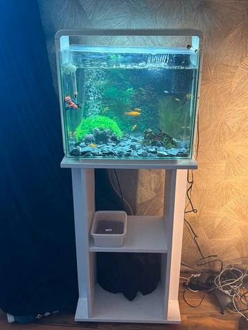 Mooie aquarium  beschikbaar voor biedingen