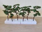 6 Pijnbomen (Pines) + 3 Populieren van "Model Scene", Hobby en Vrije tijd, Modeltreinen | H0, Overige merken, Natuur, Gelijkstroom of Wisselstroom