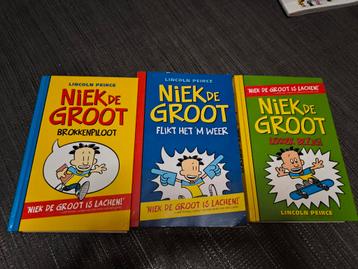 Niek de Groot  beschikbaar voor biedingen