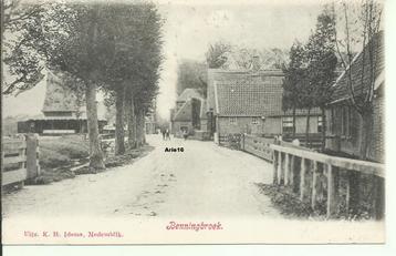 Benningbroek beschikbaar voor biedingen